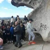 pulitura fungo Arzachena