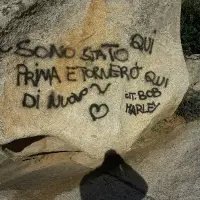 pulitura fungo Arzachena