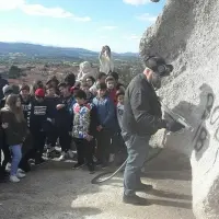 pulitura fungo Arzachena