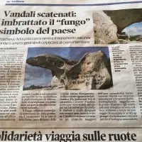 pulitura fungo Arzachena