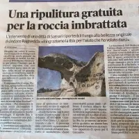 pulitura fungo Arzachena